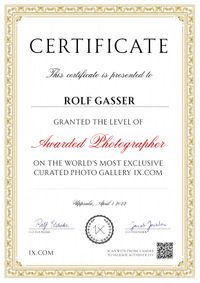 awarded_photographer_certificate-801782